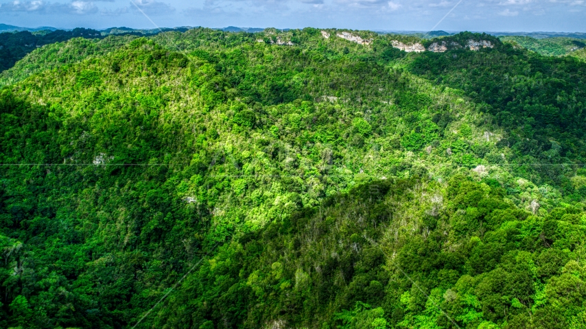 Mountains and jungle in the Karst Forest, Puerto Rico Aerial Stock Photo AX101_053.0000150F | Axiom Images