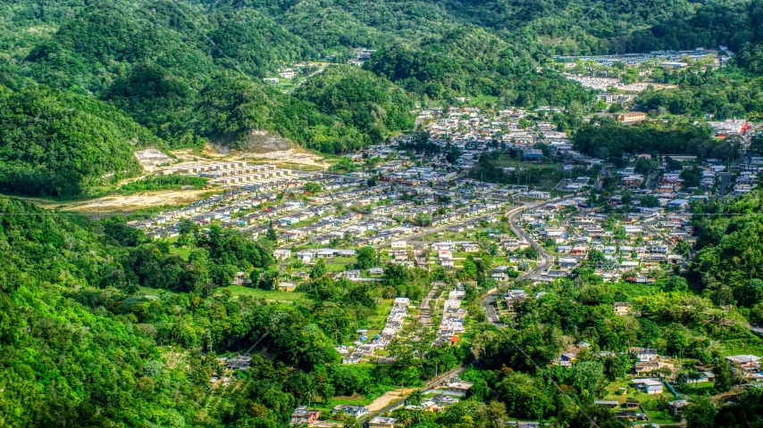 Town nestled among lush green trees, Florida, Puerto Rico  Aerial Stock Photo AX101_065.0000328F | Axiom Images