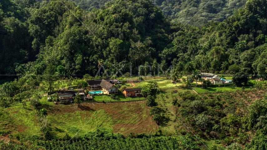 Farmhouse beside a lush green forest, Karst Forest, Puerto Rico Aerial Stock Photo AX101_070.0000203F | Axiom Images