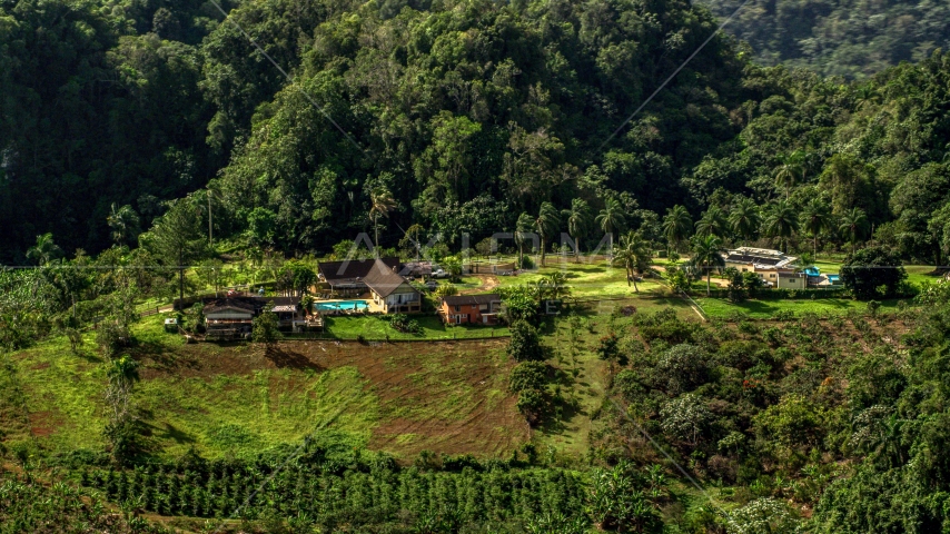 Isolated farmhouse surrounded by lush green forests, Karst Forest, Puerto Rico Aerial Stock Photo AX101_071.0000000F | Axiom Images