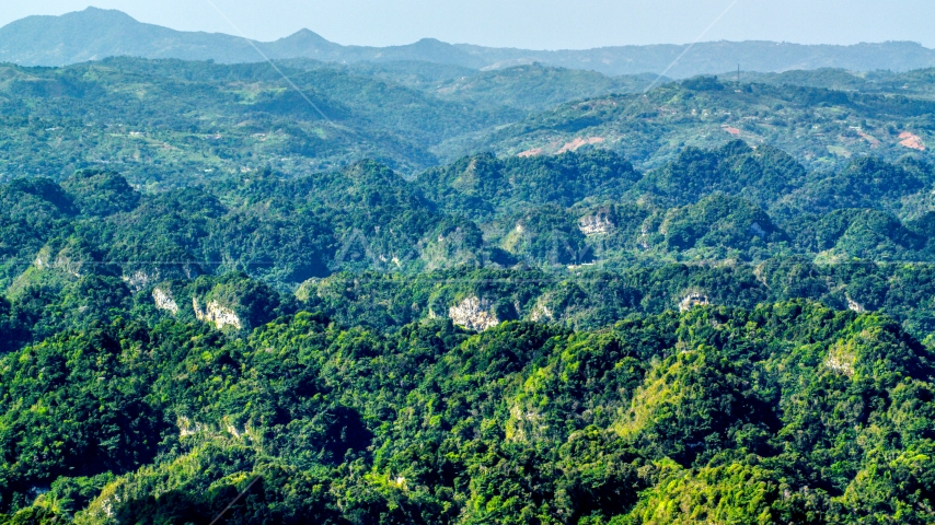 Limestone cliffs and lush green Karst Forest, Puerto Rico  Aerial Stock Photo AX101_088.0000000F | Axiom Images