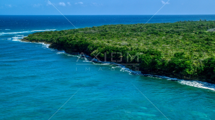 Stunning blue waters along a tree lined coast, Manati, Puerto Rico Aerial Stock Photo AX101_195.0000097F | Axiom Images