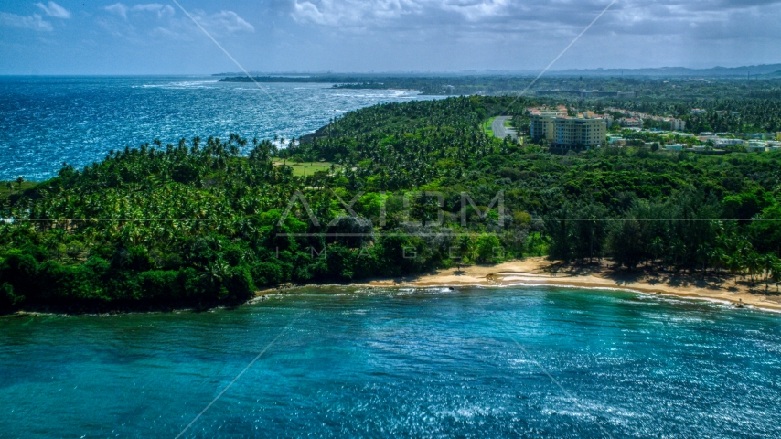 Palm tree covered Caribbean island beach in Vega Alta, Puerto Rico  Aerial Stock Photo AX101_210.0000000F | Axiom Images