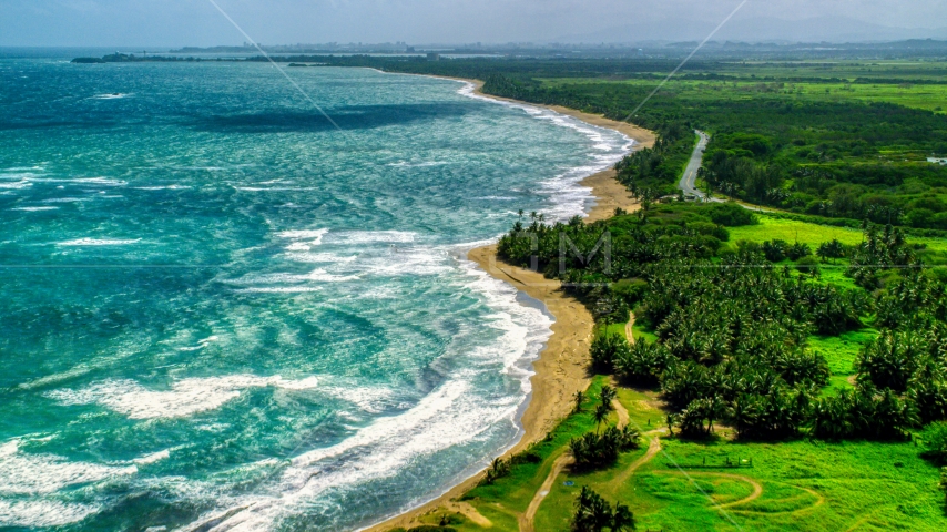 An island beach and palm trees in the Caribbean, Dorado, Puerto Rico  Aerial Stock Photo AX101_220.0000234F | Axiom Images