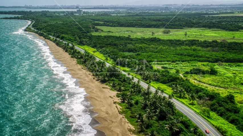 Beach and island highway with palm trees in the Caribbean, Dorado, Puerto Rico Aerial Stock Photo AX101_224.0000261F | Axiom Images