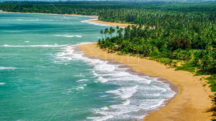 A couple on a palm tree lined island beach with turquoise waters, Loiza, Puerto Rico  Aerial Stock Photo AX102_023.0000000F | Axiom Images