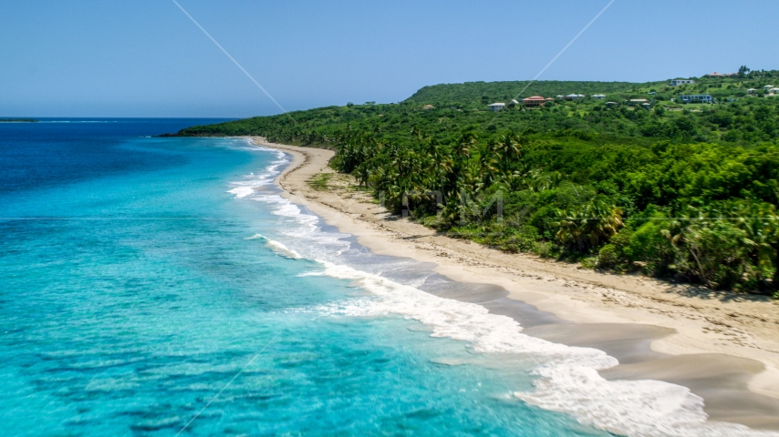 Waves rolling toward a Caribbean island beach with palm trees, Culebra, Puerto Rico  Aerial Stock Photo AX102_130.0000151F | Axiom Images