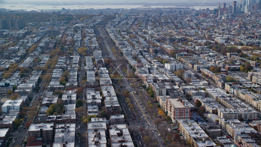 Tree-lined street through Brooklyn in Autumn, New York City Aerial Stock Photo AX120_081.0000093F | Axiom Images