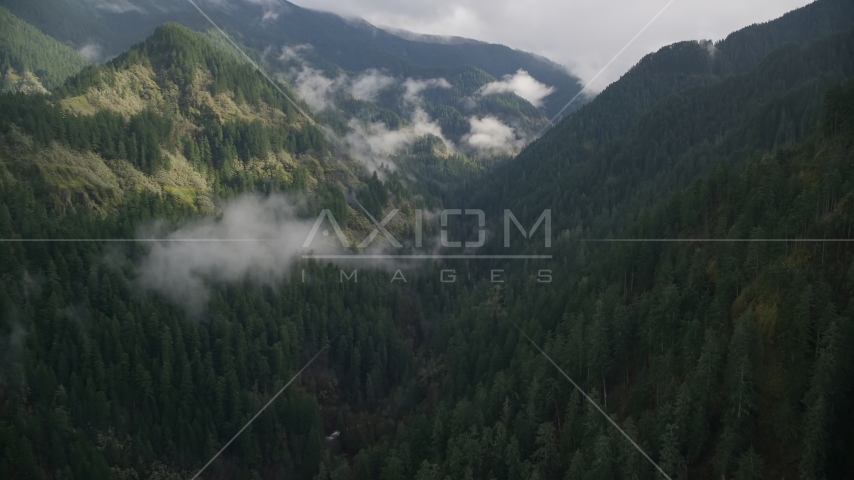 Eagle Creek Trail through a canyon in Cascade Range, Hood River County, Oregon Aerial Stock Photo AX154_041.0000321F | Axiom Images