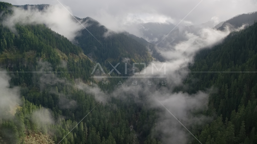 Eagle Creek Trail through a wooded canyon in the Cascade Range, Hood River County, Oregon Aerial Stock Photo AX154_045.0000229F | Axiom Images