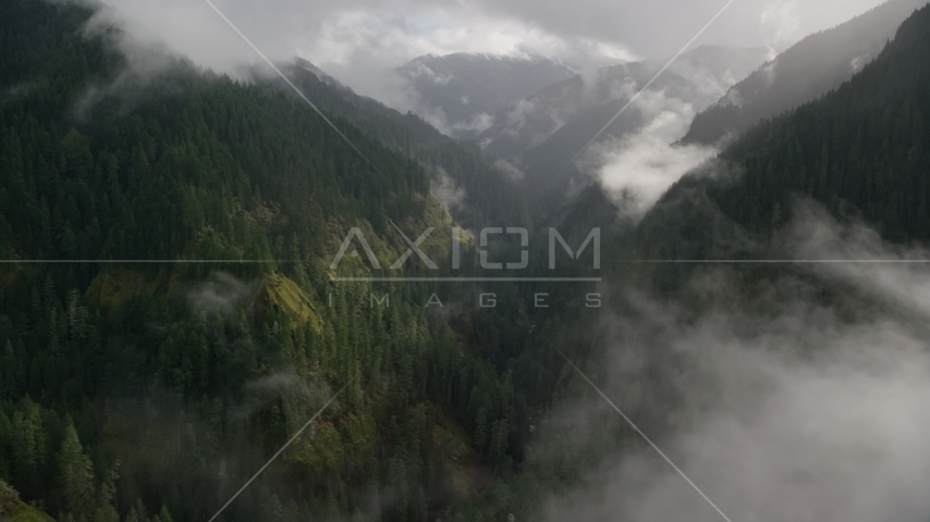 The Eagle Creek Trail and canyon in Cascade Range, Hood River County, Oregon Aerial Stock Photo AX154_047.0000000F | Axiom Images