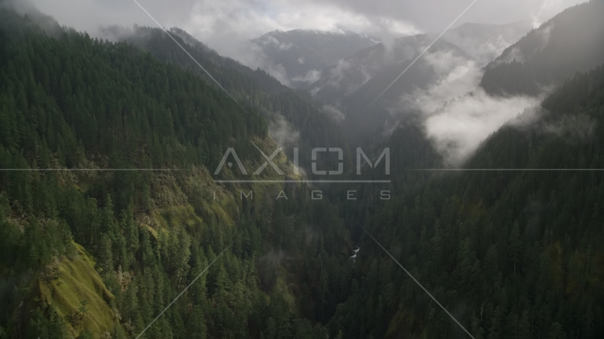 Eagle Creek Trail through a canyon in Cascade Range, Hood River County, Oregon Aerial Stock Photo AX154_047.0000164F | Axiom Images