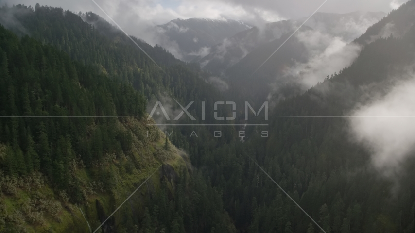 Misty clouds over the Eagle Creek Trail through a canyon in Cascade Range, Hood River County, Oregon Aerial Stock Photo AX154_047.0000351F | Axiom Images