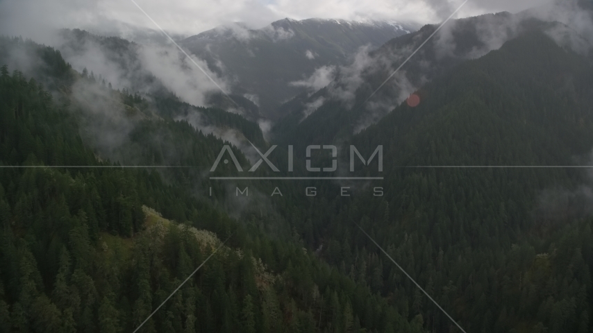 Eagle Creek Trail through a canyon with misty clouds, Cascade Range, Hood River County, Oregon Aerial Stock Photo AX154_049.0000296F | Axiom Images