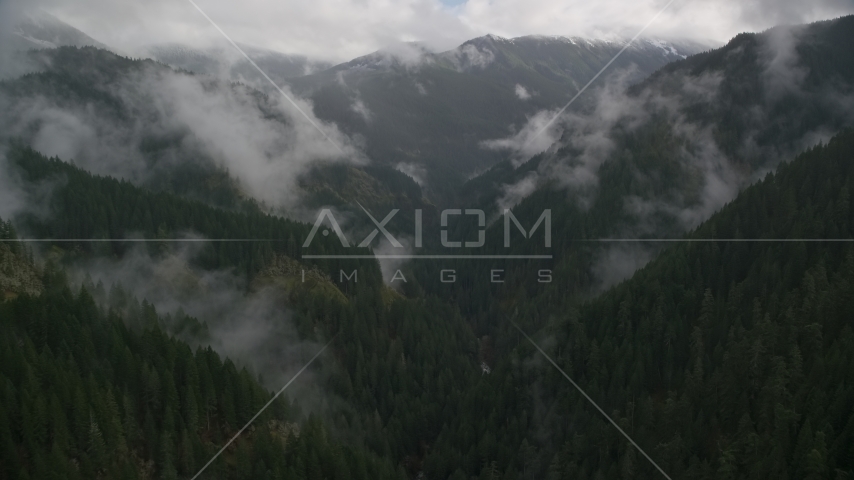 Eagle Creek Trail in a canyon with mist and forest in Cascade Range, Hood River County, Oregon Aerial Stock Photo AX154_050.0000247F | Axiom Images