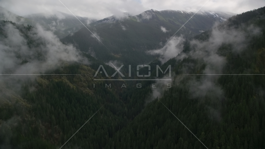 The Eagle Creek Trail through mountain canyon in Cascade Range, Hood River County, Oregon Aerial Stock Photo AX154_051.0000255F | Axiom Images