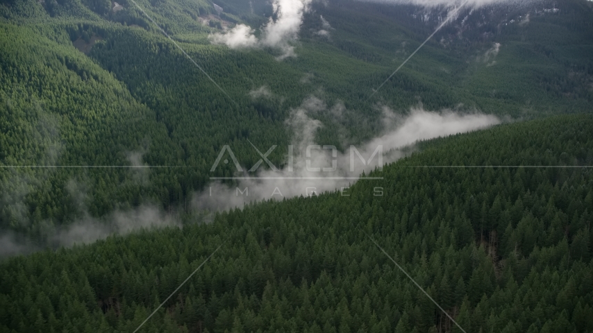 An evergreen forest with clouds of mist in the Cascade Range, Hood River County, Oregon Aerial Stock Photo AX154_055.0000298F | Axiom Images