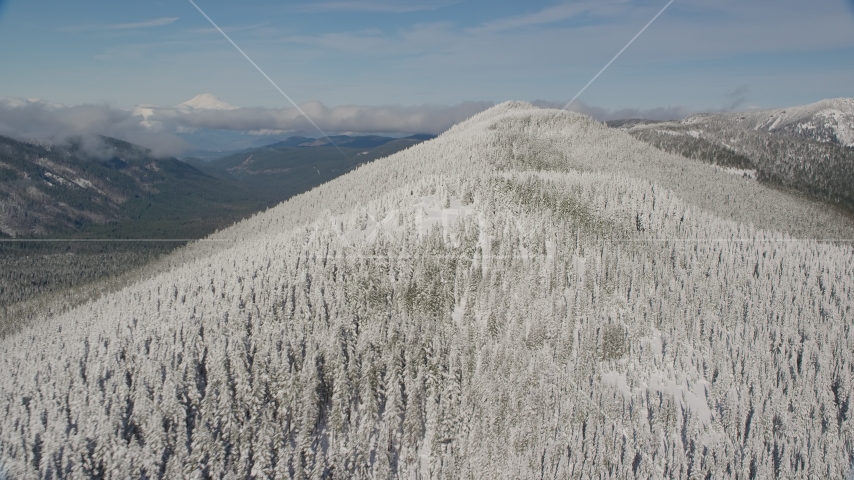 Frozen forest on a mountain ridge, Cascade Range, Oregon Aerial Stock Photo AX154_103.0000163F | Axiom Images