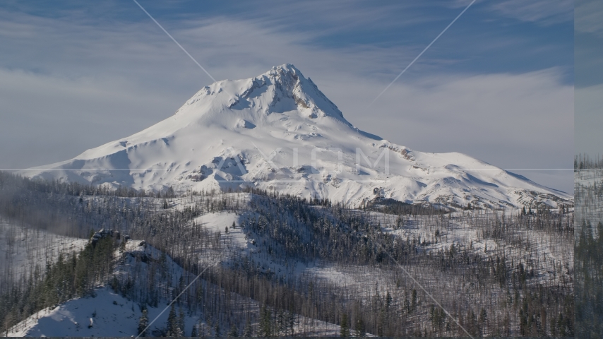 Mountain ridge with dead trees near Mount Hood, Cascade Range, Oregon Aerial Stock Photo AX154_122.0000233F | Axiom Images