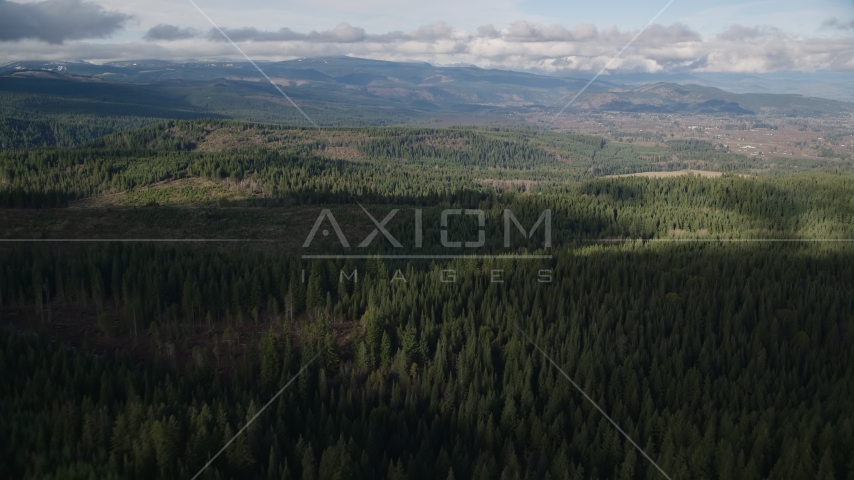 A forest trail through evergreens in the Cascade Range, Hood River Valley, Oregon Aerial Stock Photo AX154_133.0000356F | Axiom Images