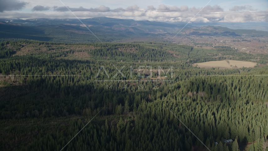 Evergreens near logging and farm areas near Parkdale, Oregon Aerial Stock Photo AX154_135.0000000F | Axiom Images