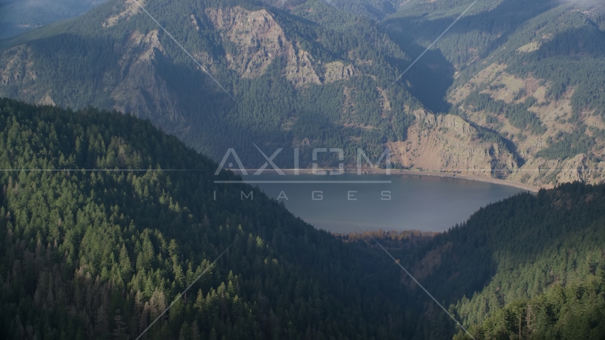 Forest on the Oregon bank of the Columbia River Gorge, Hood River Aerial Stock Photo AX154_152.0000335F | Axiom Images