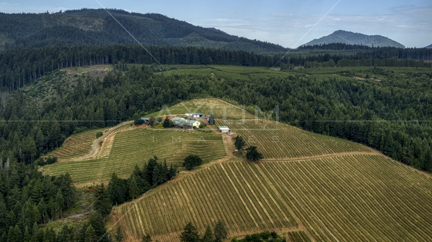 Phelps Creek Vineyards buildings surrounded by grapevines in Hood River, Oregon Aerial Stock Photo DXP001_015_0021 | Axiom Images