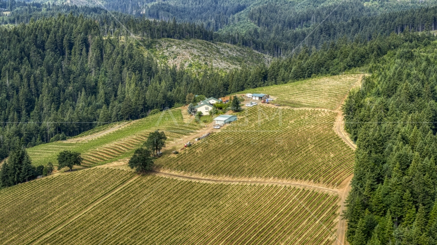 Phelps Creek Vineyards on a hilltop with grapevines in Hood River, Oregon Aerial Stock Photo DXP001_016_0001 | Axiom Images