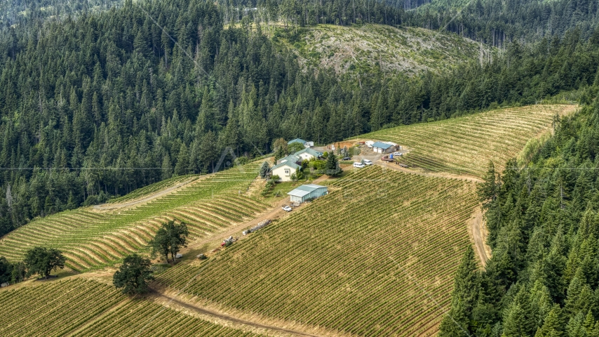 Phelps Creek Vineyards on a hilltop covered with grapevines in Hood River, Oregon Aerial Stock Photo DXP001_016_0002 | Axiom Images