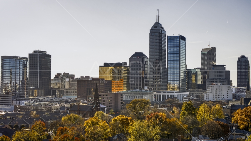 The towering skyscrapers in the city's skyline in Downtown Indianapolis, Indiana seen from trees Aerial Stock Photo DXP001_090_0011 | Axiom Images