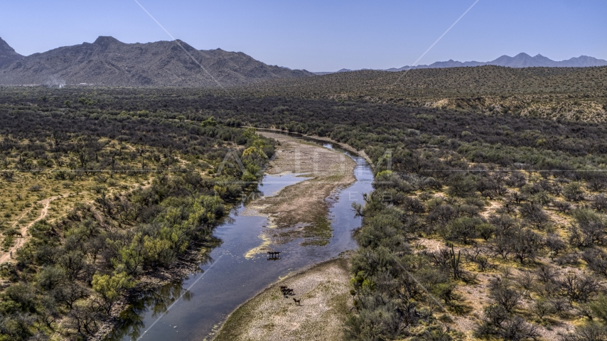 Horses at a shallow river in the desert Aerial Stock Photo DXP002_141_0002 | Axiom Images