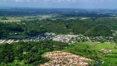 Rural neighborhood beside dense cluster of trees in Dorado, Puerto Rico  Aerial Stock Photos | AX101_034.0000279F