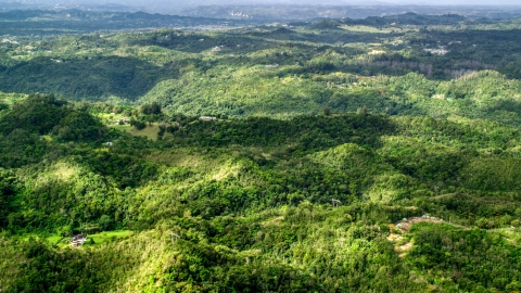 AX101_039.0000000F - Aerial stock photo of Rural homes partially hidden by tree covered hills, Vega Baja, Puerto Rico 