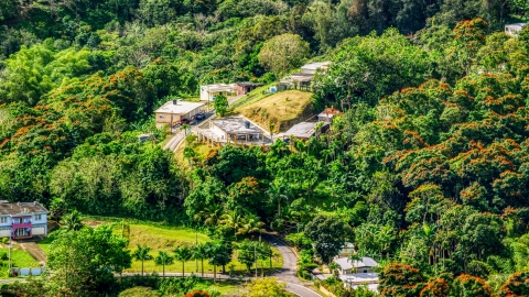 Rural homes by tree-covered hills in Vega Baja, Puerto Rico  Aerial Stock Photos | AX101_042.0000199F