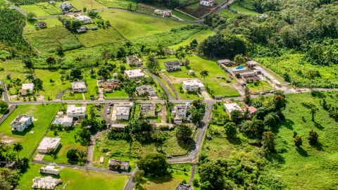 Rural neighborhood with lush green grass and trees, Vega Baja, Puerto Rico  Aerial Stock Photos | AX101_043.0000368F