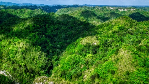 AX101_051.0000187F - Aerial stock photo of Karst mountains and jungle in Puerto Rico 