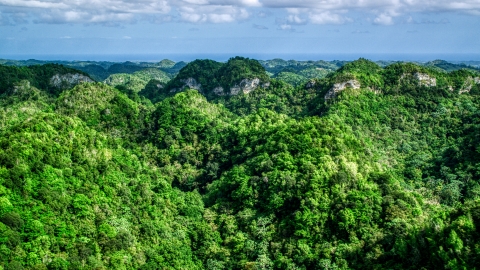 Llush jungle and mountains, Karst Forest, Puerto Rico Aerial Stock Photos | AX101_054.0000284F