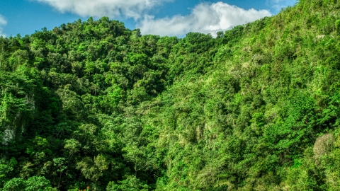 Mountain covered in jungle in the Karst Forest, Puerto Rico  Aerial Stock Photos | AX101_058.0000069F