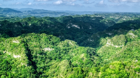 AX101_063.0000152F - Aerial stock photo of Jungle growth on the limestone cliffs of the karst mountains in the Karst Forest, Puerto Rico 