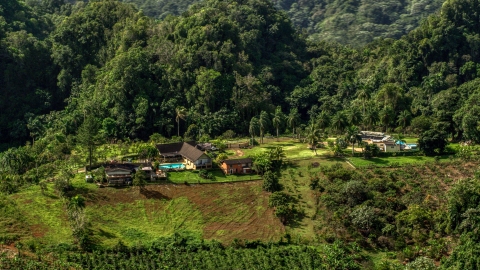 AX101_070.0000203F - Aerial stock photo of Farmhouse beside a lush green forest, Karst Forest, Puerto Rico