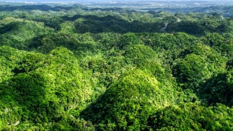 AX101_074.0000160F - Aerial stock photo of Green jungle covering karst mountains in the Karst Forest, Puerto Rico 