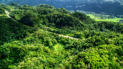 Highway cutting through lush green jungle of the Karst Forest, Puerto Rico Aerial Stock Photos | AX101_076.0000000F