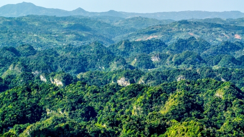 AX101_088.0000000F - Aerial stock photo of Limestone cliffs and lush green Karst Forest, Puerto Rico 