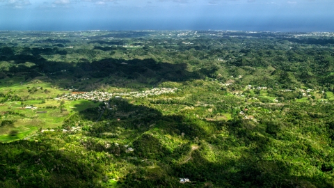 AX101_124.0000000F - Aerial stock photo of Rural homes situated among lush green trees in Karst mountains, Arecibo, Puerto Rico 