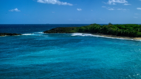 AX101_153.0000161F - Aerial stock photo of A deserted beach with trees in Arecibo, Puerto Rico