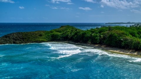 AX101_154.0000043F - Aerial stock photo of Waves rolling in toward the tree-lined coast of Arecibo, Puerto Rico 