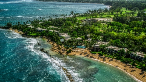 AX101_214.0000182F - Aerial stock photo of A Caribbean island resort and palm trees by the beach in Dorado, Puerto Rico 