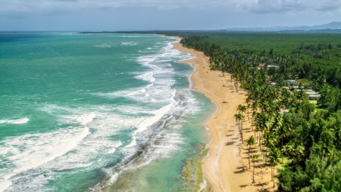 AX102_019.0000224F - Aerial stock photo of Waves rolling in toward a tree-lined beach in Loiza, Puerto Rico 