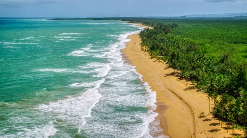 AX102_020.0000221F - Aerial stock photo of Tree lined Caribbean beach and turquoise water, Loiza, Puerto Rico 