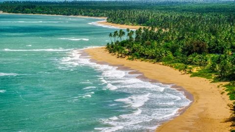 A couple on a palm tree lined island beach with turquoise waters, Loiza, Puerto Rico  Aerial Stock Photos | AX102_023.0000000F